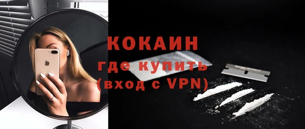 стафф Ладушкин