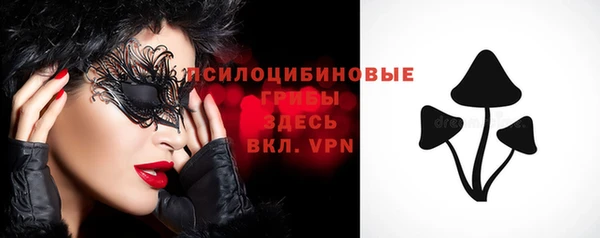 стафф Ладушкин