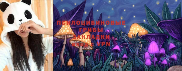 амф Вязьма