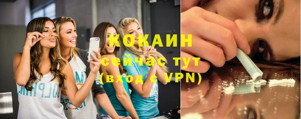 стафф Ладушкин