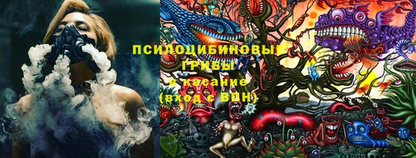 стафф Ладушкин