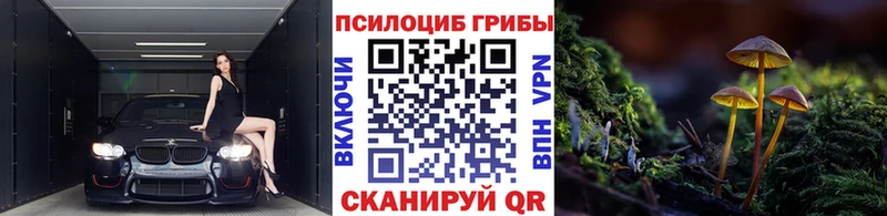 гидра ссылка  Заозёрный  Псилоцибиновые грибы GOLDEN TEACHER 
