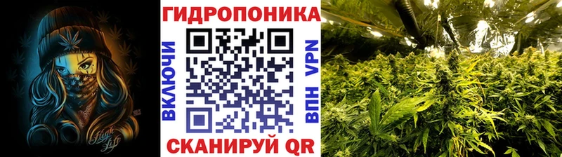 МАРИХУАНА план  где продают наркотики  Заозёрный 